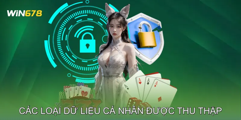 Chính Sách Bảo Mật Win678 Kiểm Soát Quyền Truy Cập Chặt Chẽ 2 Các Loại Dữ Liệu Cá Nhân Được Thu Thập